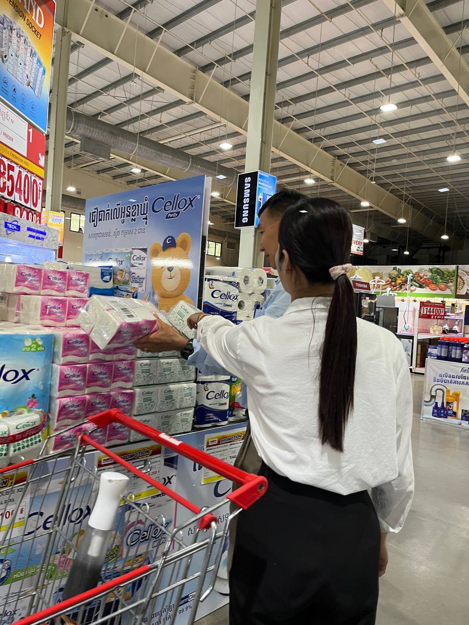 Importation of Consumer Goods in Cambodia - Image 17